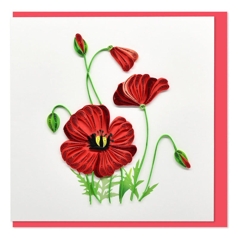 Quilled Poppies Greeting Card (15x15cm)