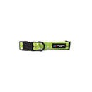 BBL Sydney Thunder Dog Collar