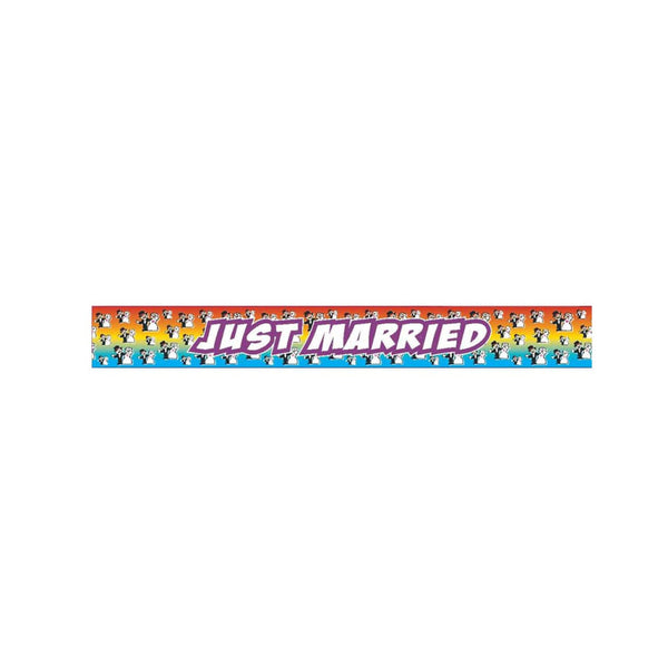 Just Married Decorative Tape