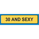 Age and Sexy License Plate Keyring