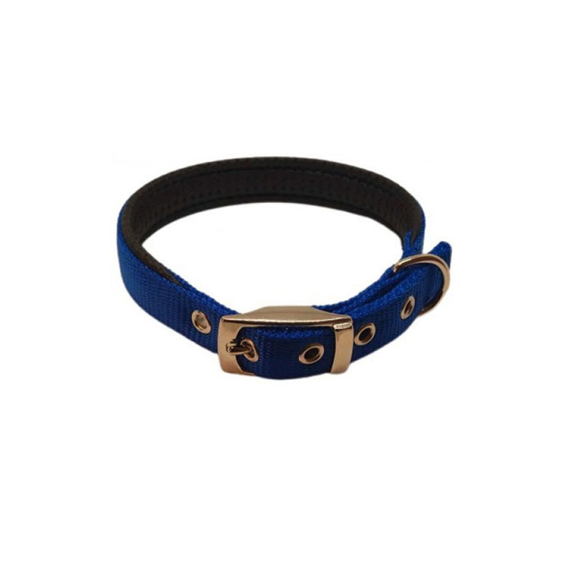 Nylon Padded Collar (Blue)