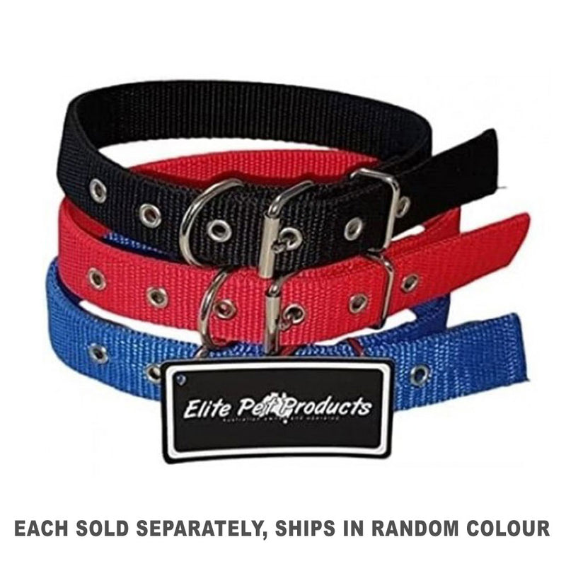 Drover Collar 38 mm (1pc aleatorio)