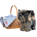 The Wizard of Oz Toto & Basket Replica Set