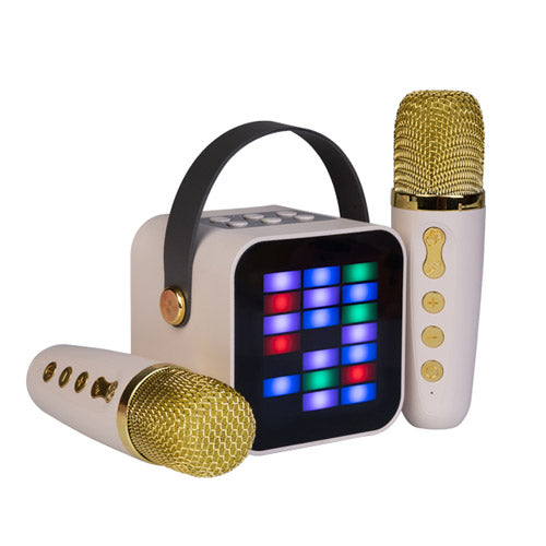 Wireless Karaoke Duo System