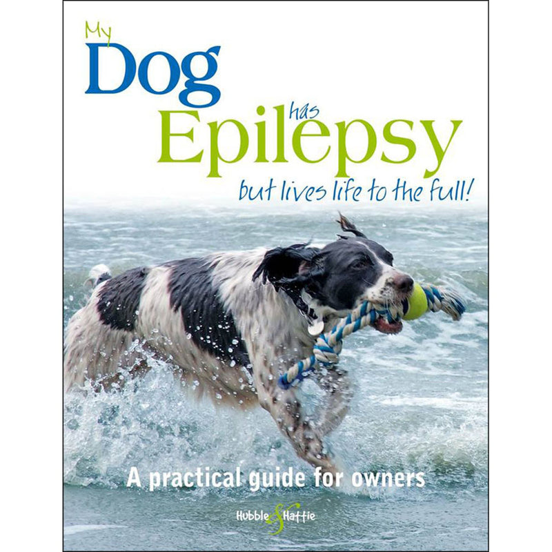 My Dog Has Epilepsy But Lives Life to the Full