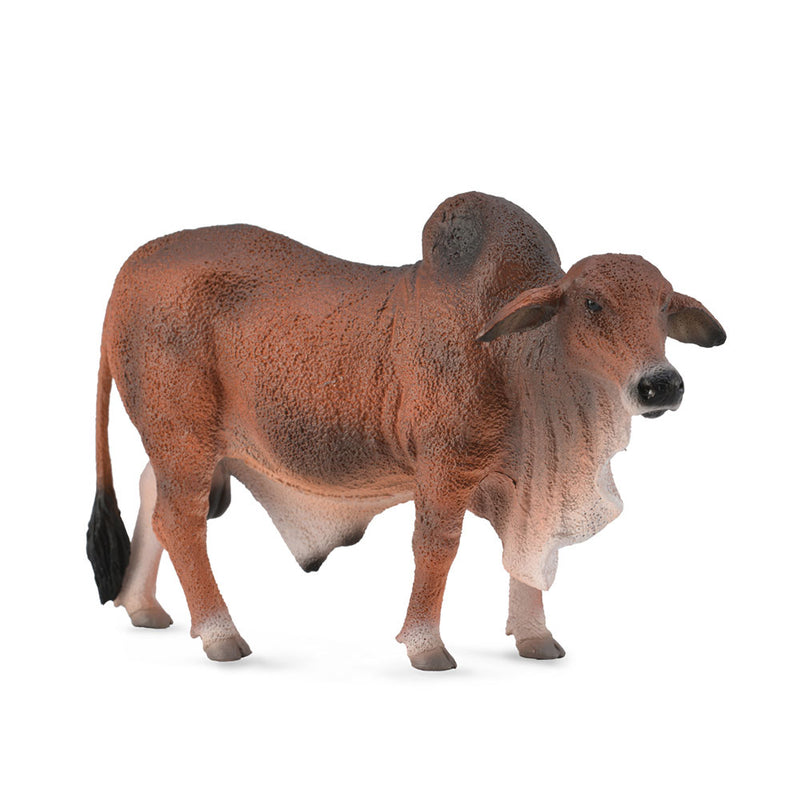  Figura de toro Brahman de CollectA (grande)