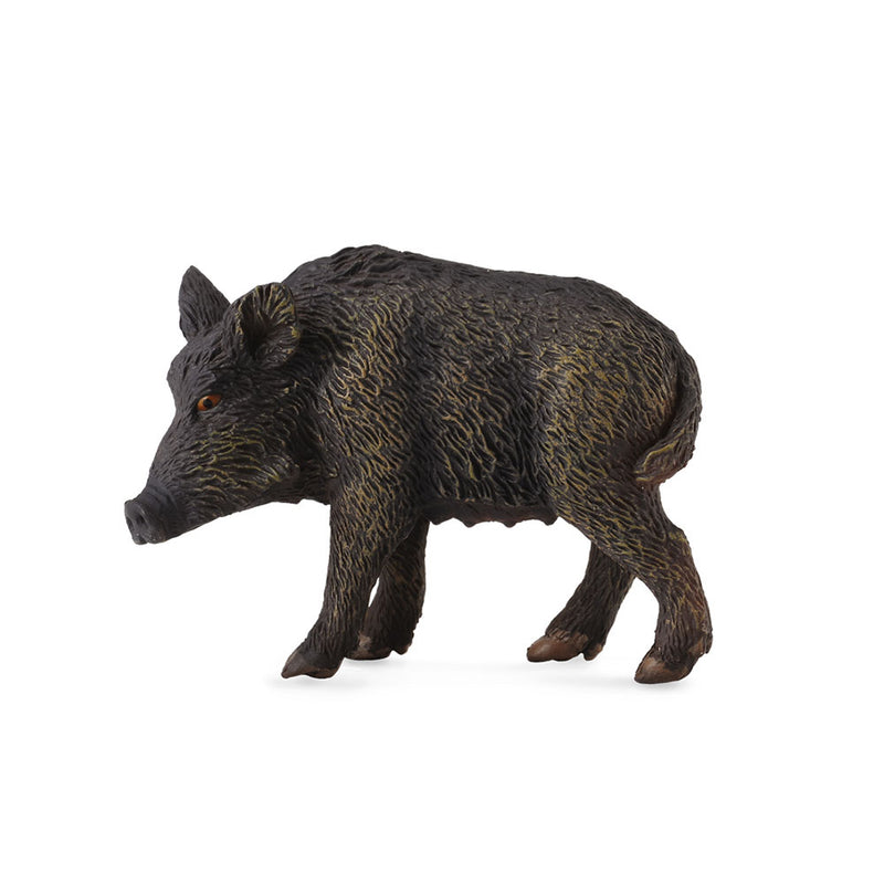  Figura CollectA Wild Pig (mediana)