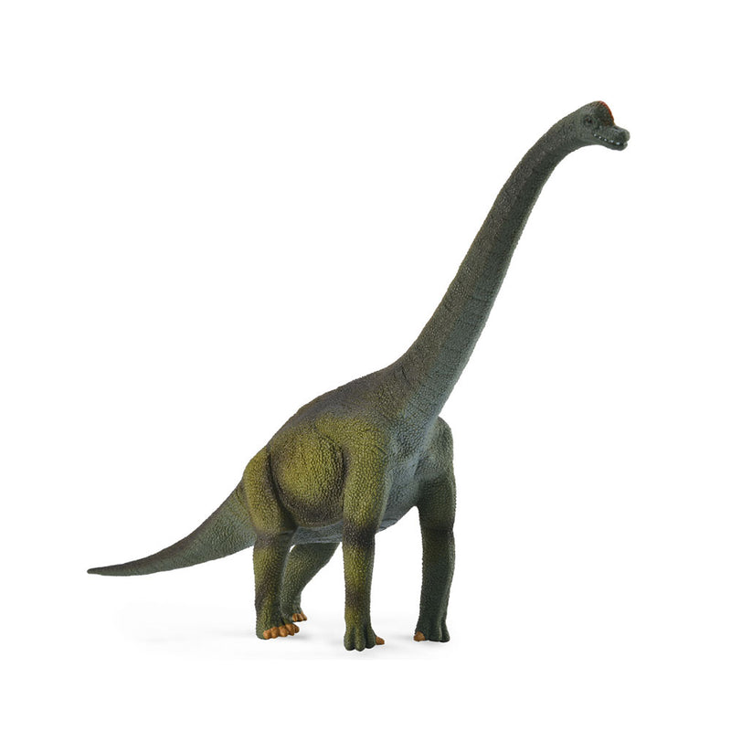  Figura de dinosaurio Brachiosaurus de CollectA