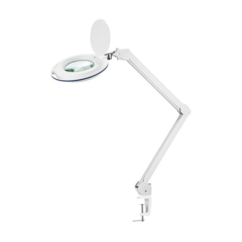 LED ILUMINADO ALMAGEM MOLHENTE