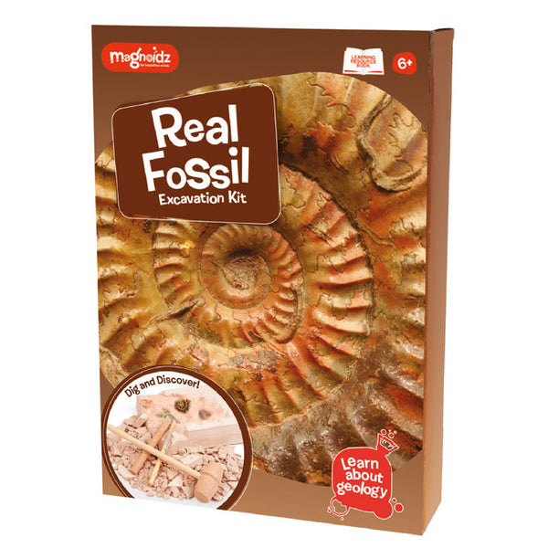 Keycraft Fossil Dig Kit