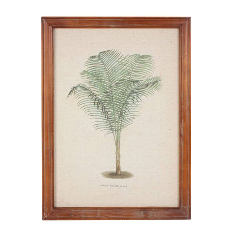 Arte da parede de palmeira vintage emoldurada (38x52x1.8cm)