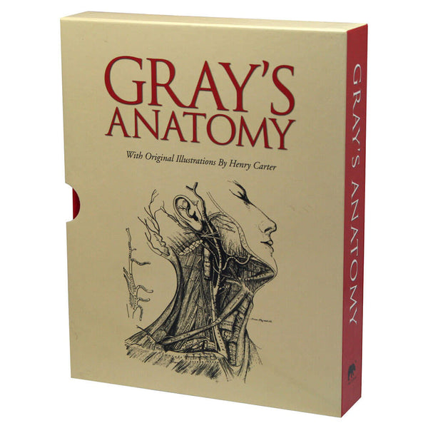 Gray's Anatomy Book by Henry Gray