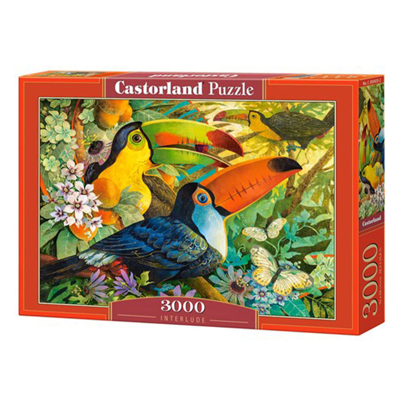  Puzzle Castorland Clásico 3000pzs