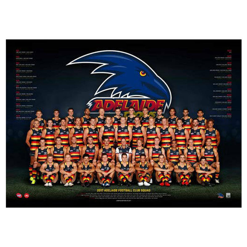  Equipo AFL 2017 Póster