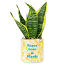 Tie Dye Planter (Medium)