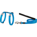 Arnês de gato clássico e combinação de chumbo