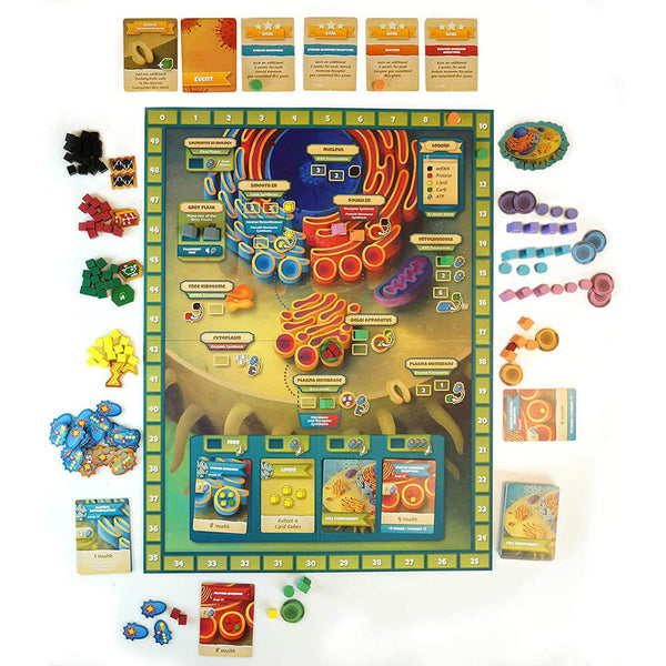 CYTOSIS A Cell Biology Game Board Game