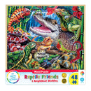 MP Wood Curty Facts Puzzle (48 PCs)